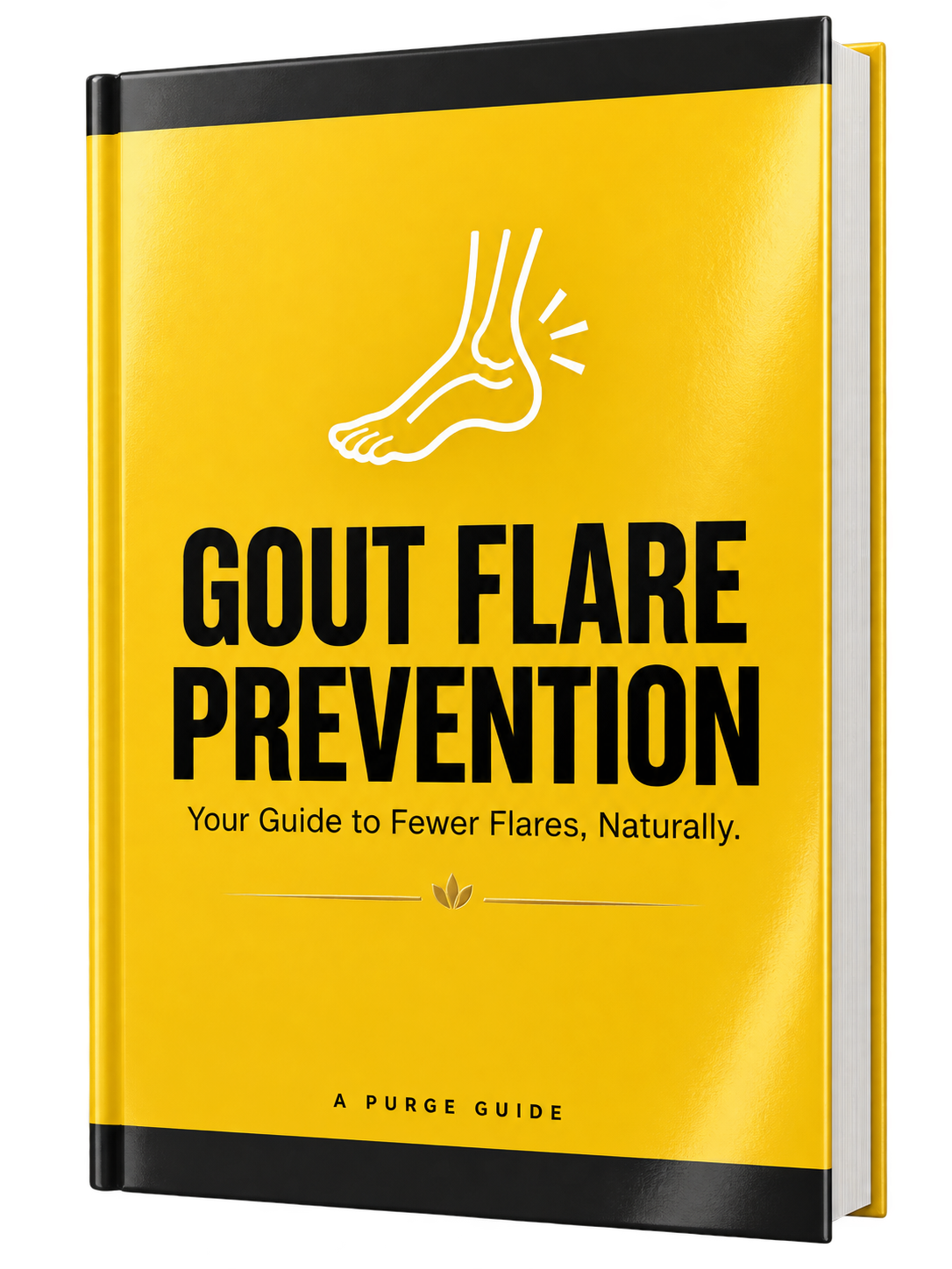Flare Prevention Ebook